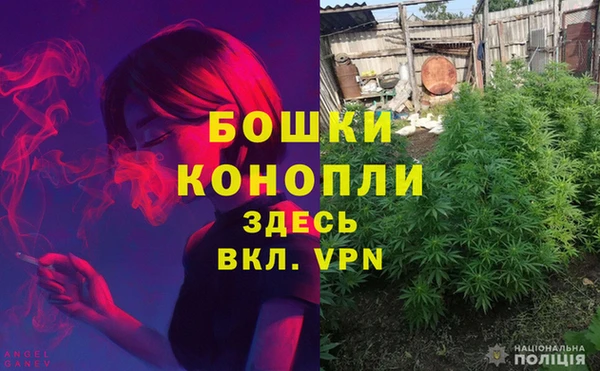 ешки Елизово