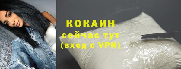 МДПВ Ельня