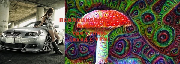 МДПВ Ельня