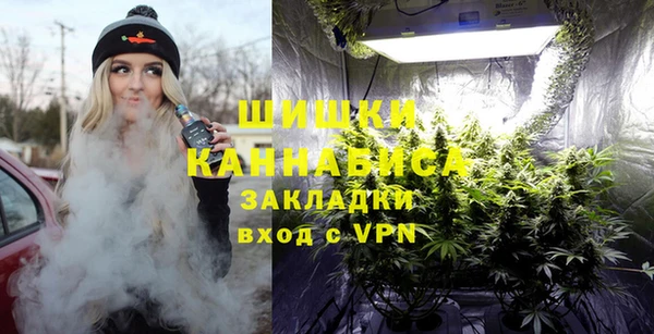 индика Болотное