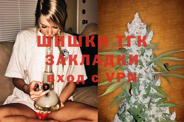 МДПВ Ельня