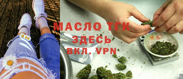 МДПВ Ельня