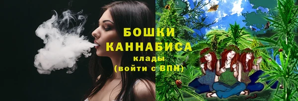 МДПВ Ельня