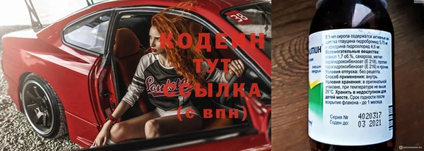 МДПВ Ельня