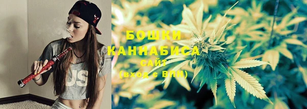 индика Болотное