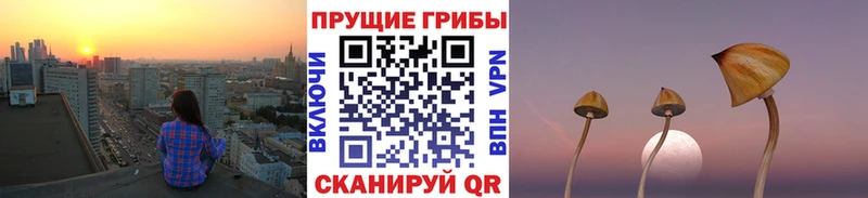 Галлюциногенные грибы GOLDEN TEACHER Зеленодольск