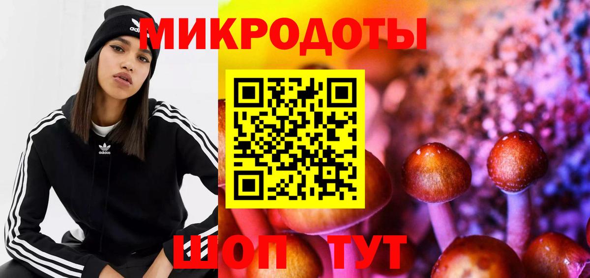 Галлюциногенные грибы ЛСД Зеленодольск