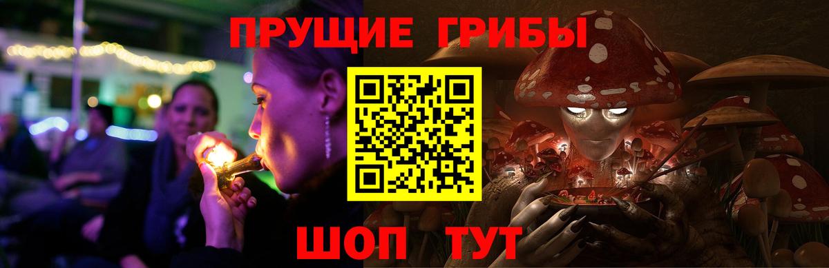 закладки  Псилоцибиновые грибы Cubensis  Вход с VPN  Зеленодольск 